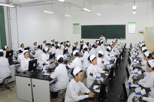 2019年云南新兴职业学院医药教学器材类专业招生简介